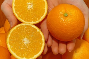 [단독] 당일/ 블랙라벨 오렌지 2kg